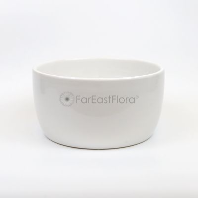 White Ceramic Bowl Pot (Ø22x11cm)