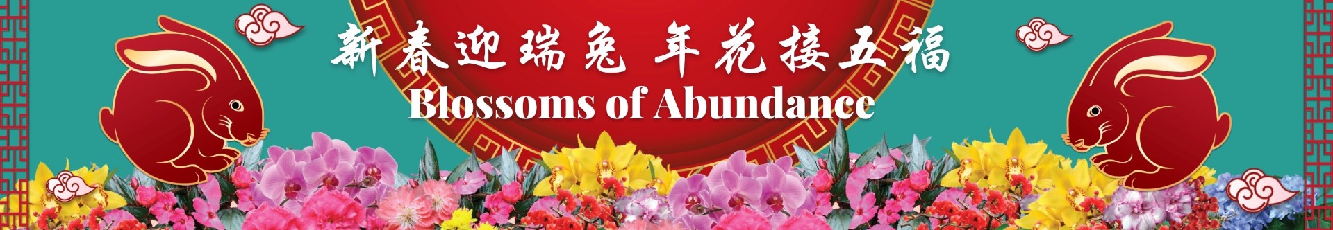 CNY Blossoms of Abundance
