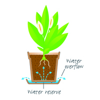 Watering System