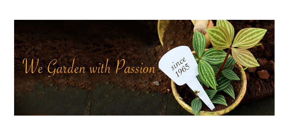 we-garden-with-passion