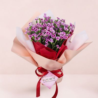 MD- DIANTHUS FIRST KISS 康乃馨初吻