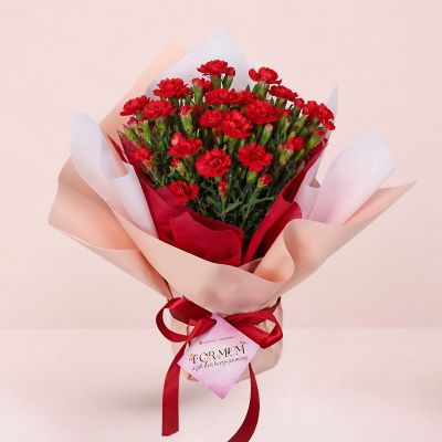 MD- DIANTHUS ASSORTED P12C 康乃馨大花