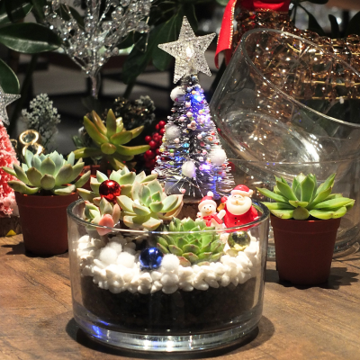 WORKSHOP: FREE PLAY DIY CHRISTMAS TERRARIUM (10S)