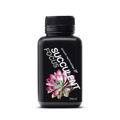 GT SUCCULENT FOCUS 250ML