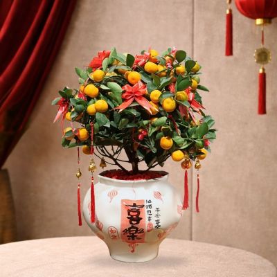 CNY- 四季桔 FSL08T PREMIUM IN CERAMIC BOWL POT 31(19 X 23CM JB-L024 (TB)