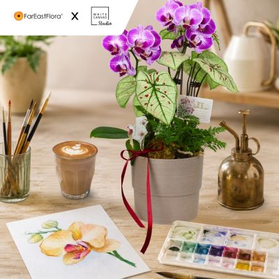 WORKSHOP: SG IN BLOOM (10S)
