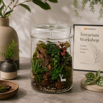 WORKSHOP: LIVING ART TERRARIUM (BEGINNER) (10S)