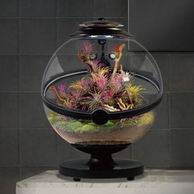 BIOLOARK BIO BALL 350 BLACK 35CM (TB)