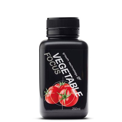 GT VEGETABLE FOCUS 250ML