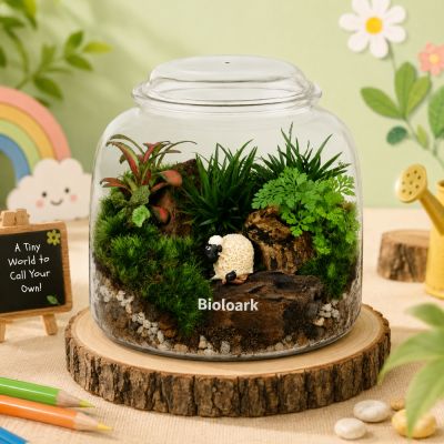 WORKSHOP: GROW & CREATE - KIDS TERRARIUM (10S)