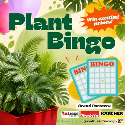 PLANT BINGO TICKET $5