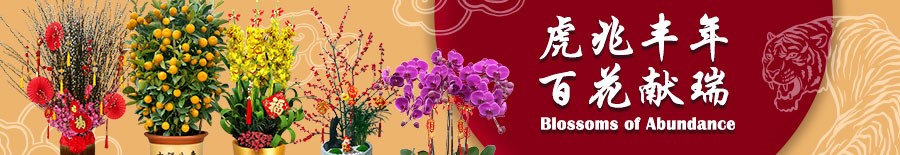 CNY Blossoms of Abundance